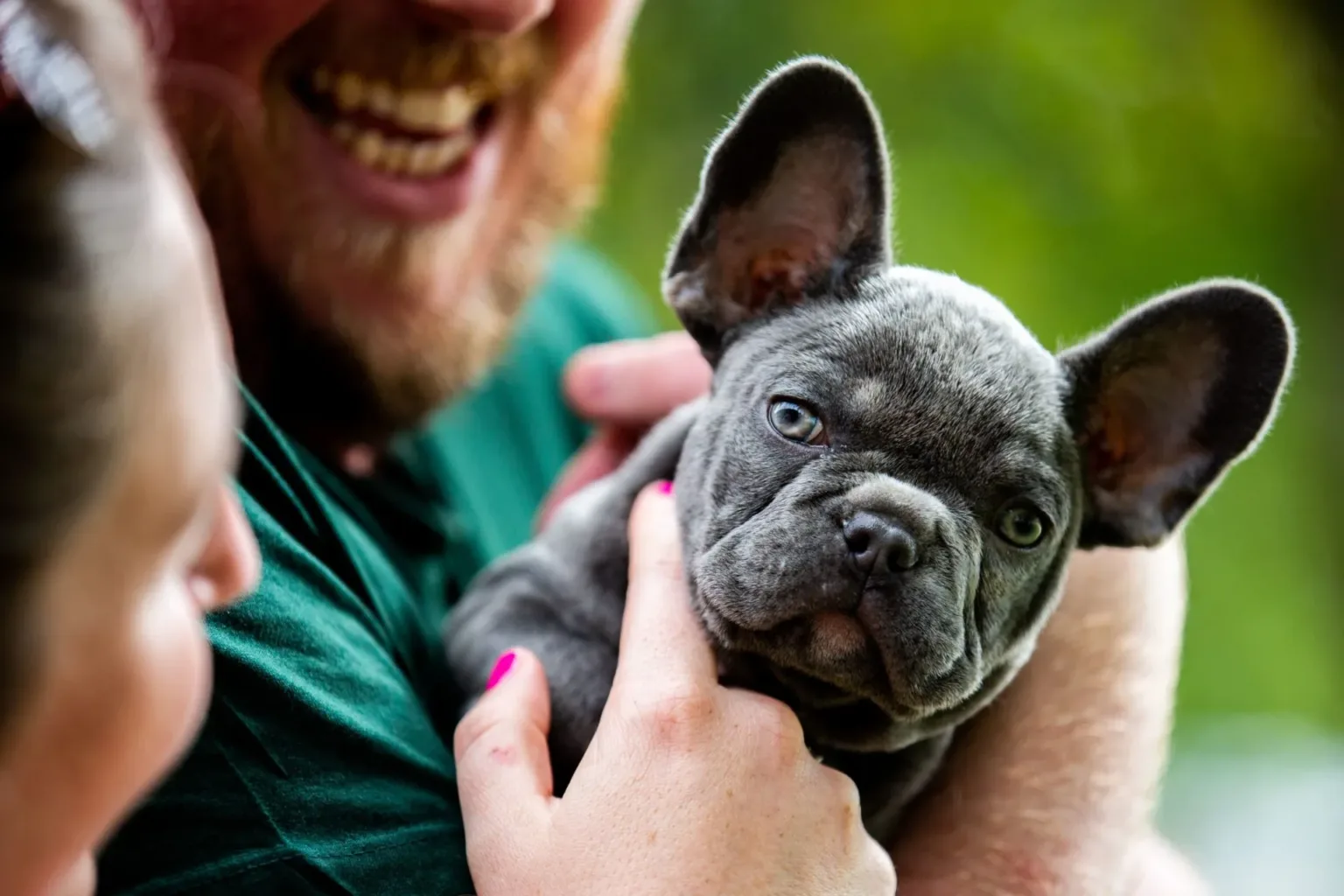 Puppy Kevin being held by his new owners