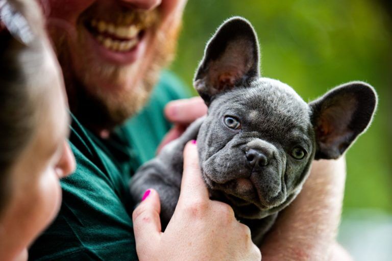Puppy Kevin being held by his new owners