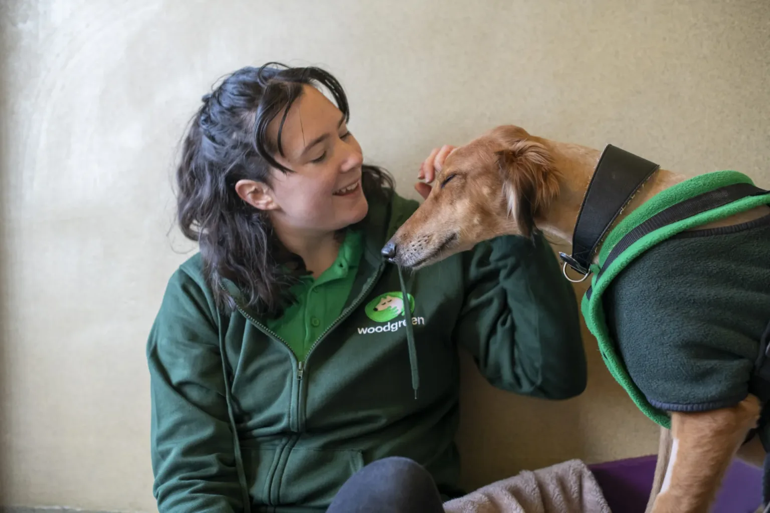 A dog recovering with a Woodgreen handler