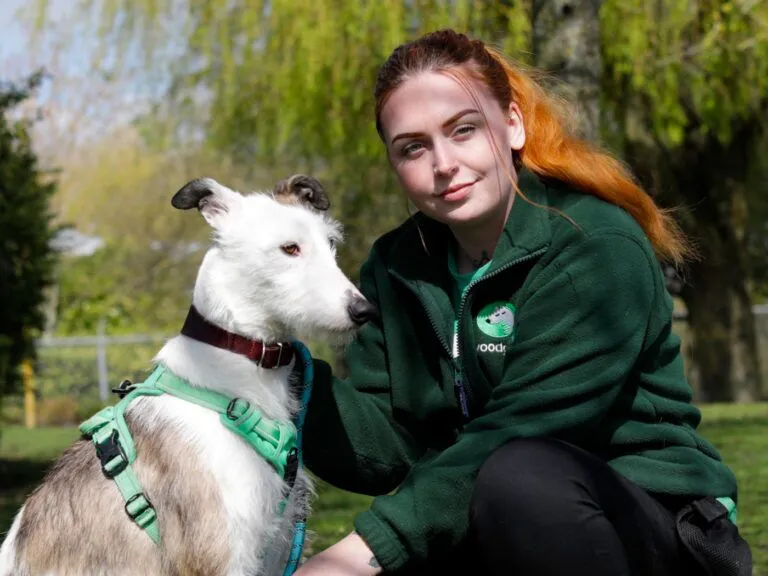 Intake and assessment officer Chloe smiling at camera while crouching next to scruffy white crossbreed