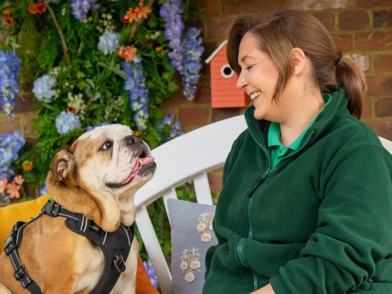 Intake and assessment officer Katie sitting on bench looking into the eyes of bulldog