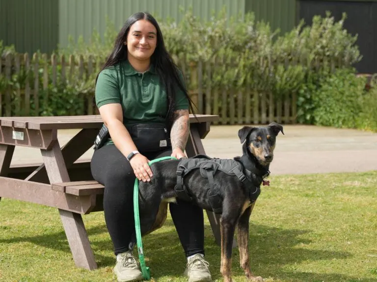Intake and assessment officer Myah sitting on bench smiling next to large black dog