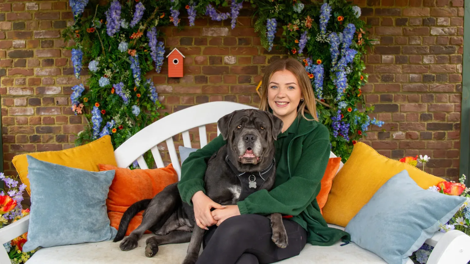 Large brown dog sits alongside a red-headed woman on a white sofa surrounded by blue, yellow and orange cushions.