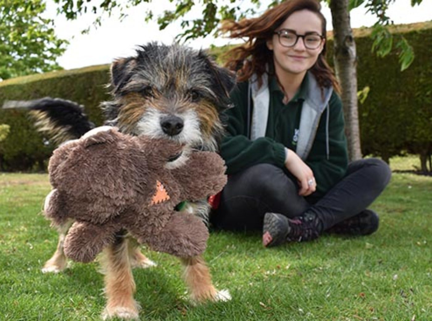 Wood Green, the Animals Charity Home of The Dog House Support Us