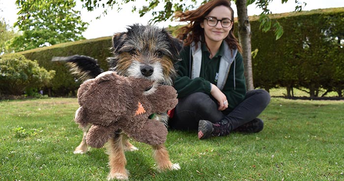 Tiny the terrier outside on the grass with one of the Wood Green dog team