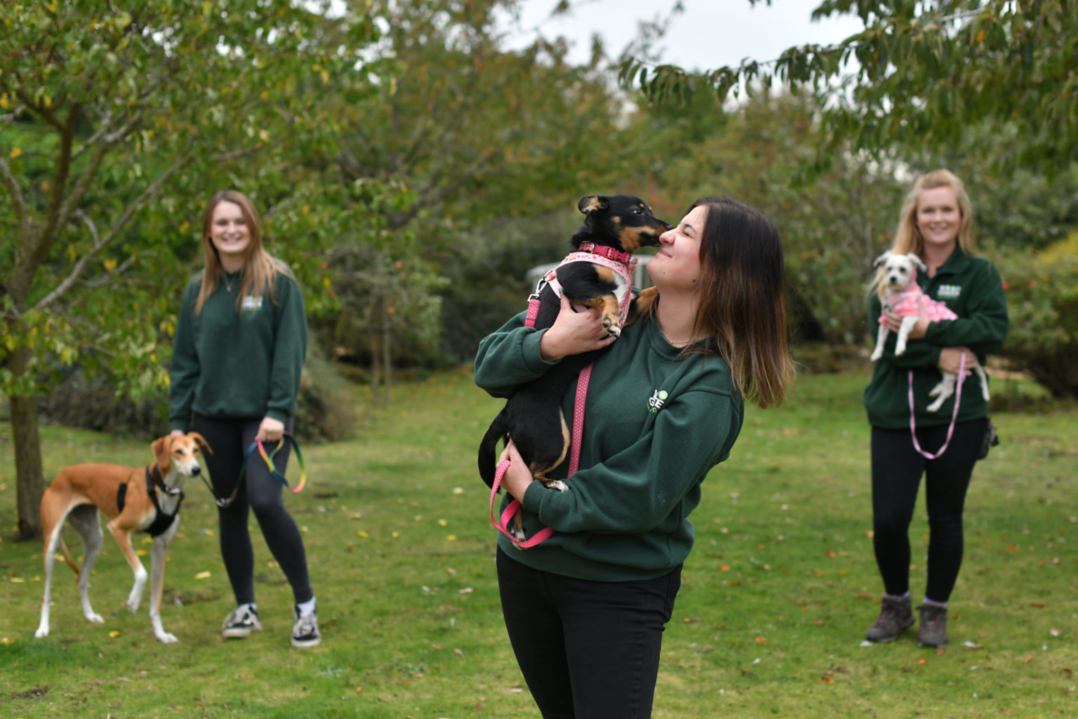 Meet the dogs Channel 4's The Dog House Woodgreen Pets Charity