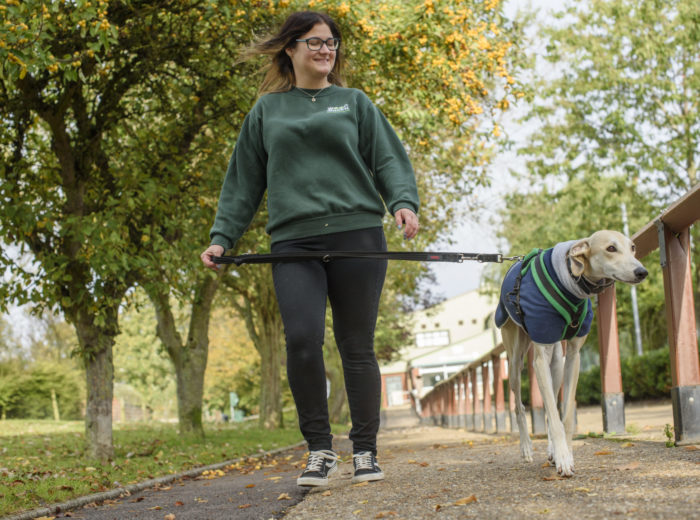 Wood Green, the Animals Charity Home of The Dog House Support Us