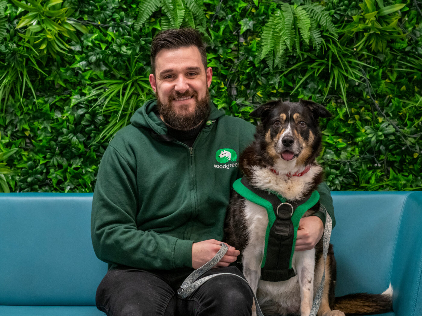 Channel 4's The Dog House Woodgreen Pets Charity